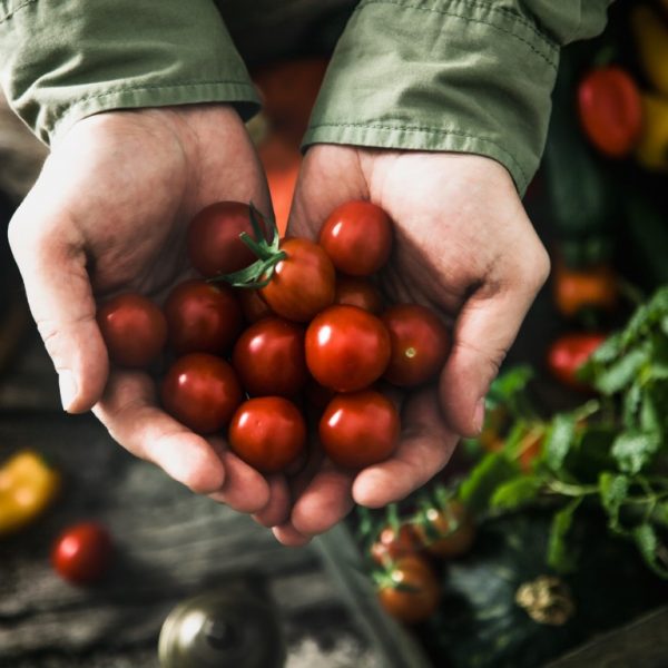 fytotherapie voedingsadvies Fyto-Life fytotherapie voedingsadvies tomaten in handen Fyto-Life
